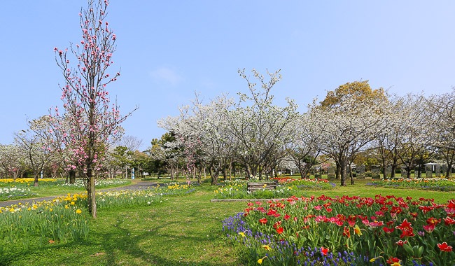 Japan Guide The park spans nearly 4km long from one end to another.